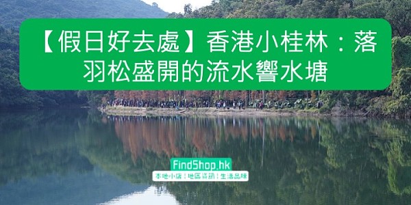【假日好去處】香港小桂林:落羽松盛開的流水響水塘