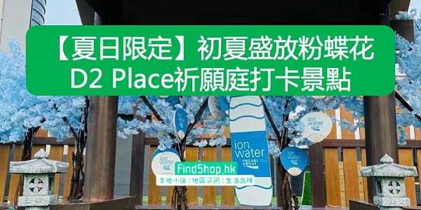 【夏日限定】初夏盛放粉蝶花 D2 Place祈願庭打卡景點