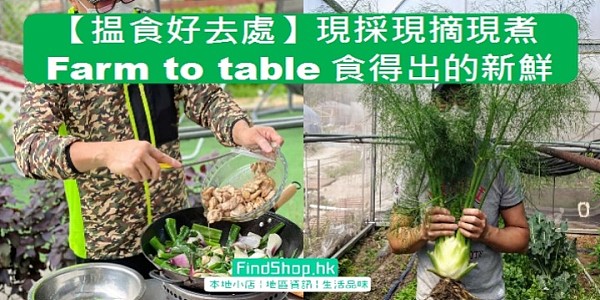 【揾食好去處】「Farm to Table」現採現摘現煮 食得出的新鮮!