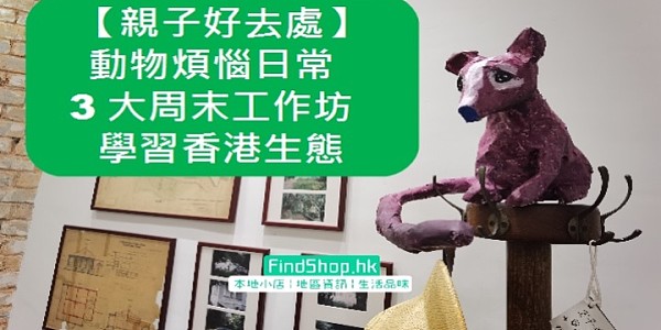 【親子好去處】動物的煩惱日常 3大周末工作坊