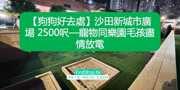 【狗狗好去處】沙田新城市廣場 2500呎—寵物同樂園毛孩盡情放電