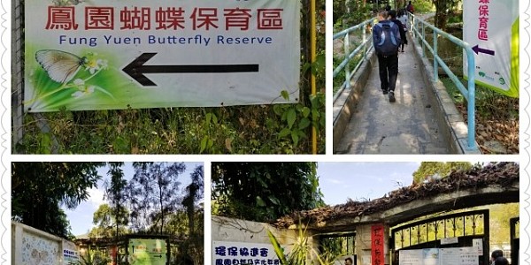 鳳園蝴蝶保育區